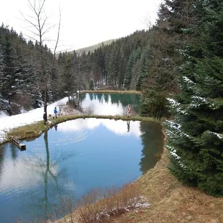 Idyllic Near The Area Ferienhaus Winterberg