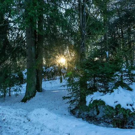 Idyllic Near The Area Winterberg